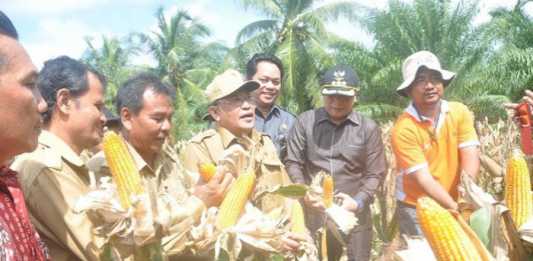 Berupaya Tingkatkan Ketahanan Pangan