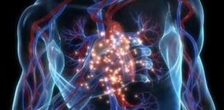 Tips Mengurangi Penyakit Jantung