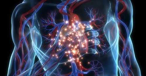 Tips Mengurangi Penyakit Jantung