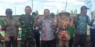 Dukung Upsus, Distanak Terapkan Metode Hazton