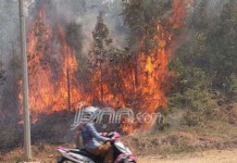 Kejagung Pastikan Gugat Perusahaan Pembakar Lahan