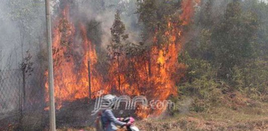 Kejagung Pastikan Gugat Perusahaan Pembakar Lahan