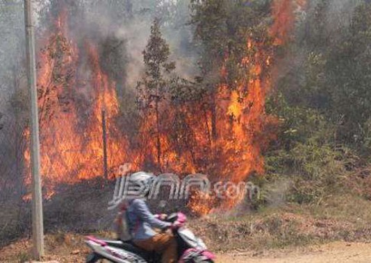 Kejagung Pastikan Gugat Perusahaan Pembakar Lahan