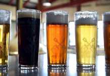 Awas! Kebiasaan Ini Bisa Cepat Merusak Tulang Anda