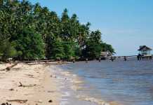 Dewan Bertanya, Sekda Positive Thingking