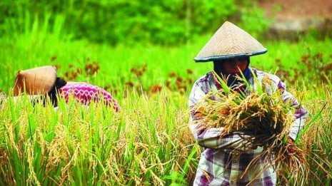 Harapkan KKU Tidak Tinggalkan Pertanian
