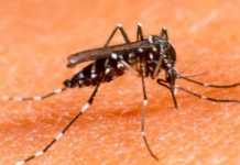 Asap Mulai Berlalu, Penyakit Pancaroba Mengancam