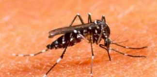 Asap Mulai Berlalu, Penyakit Pancaroba Mengancam