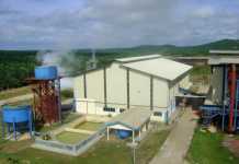 Bangun Pabrik Mini untuk Petani Sawit Mandiri