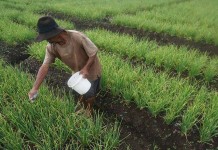 Desa Mandiri Harus Mampu Sejahterakan Masyarakat