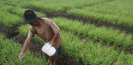 Desa Mandiri Harus Mampu Sejahterakan Masyarakat