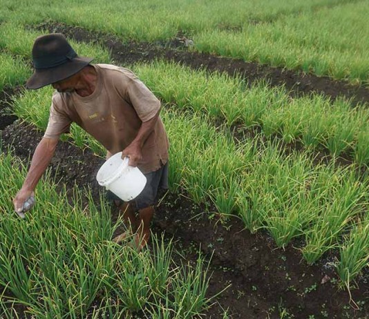 Awasi Penyaluran Pupuk Bantuan