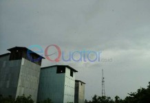 Gandeng Desa, Lakukan Pendataan dan Penarikan Pajak Sarang Walet