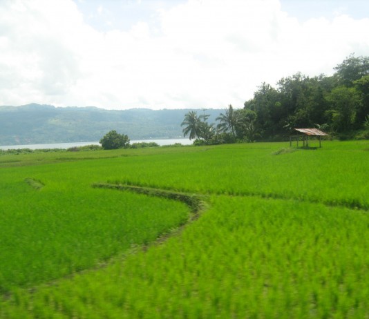 Melihat Sistem Pertanian Modern di Negeri Sakura