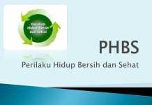 Desa Sungai Bakau Besar Juara PHBS 2015