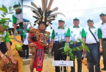 1.000 Warga Kalbar Menanam Pohon di Sintang