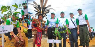 1.000 Warga Kalbar Menanam Pohon di Sintang