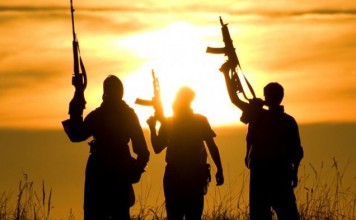 Densus 88 Deteksi Jaringan ISIS di Papua