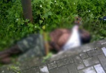 Seorang Pria Ditemukan Tewas di Pinggir Jalan