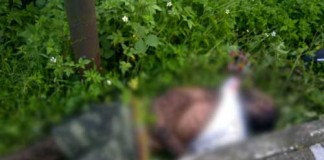 Seorang Pria Ditemukan Tewas di Pinggir Jalan