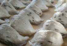 Temenggung Batang Mentebah Ditahan