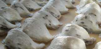 Temenggung Batang Mentebah Ditahan