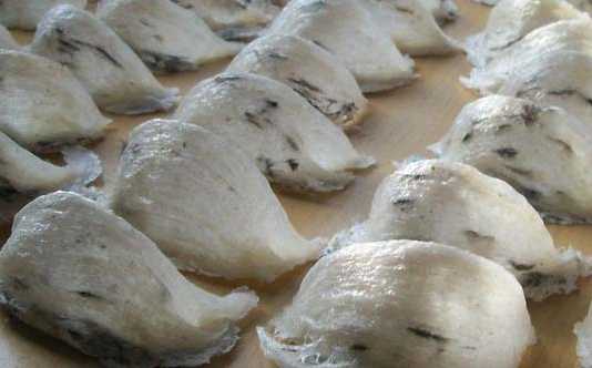 Temenggung Batang Mentebah Ditahan