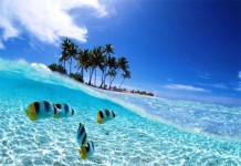 Jumlah Wisman Turun 3,19 Persen Sepanjang Mei 2019