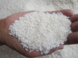 Dump Truck dan Tiga Ton Beras Dibawa Kabur