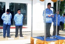 Revolusi Birokrasi Tanpa Basa-basi