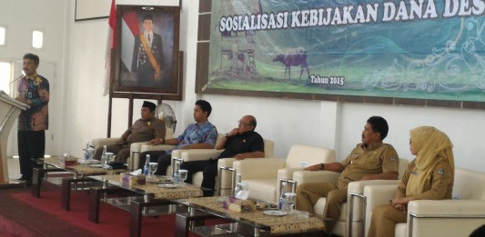 Dirjen Kemenkeu RI dan Komisi XI DPR-RI Sosialisasi Dana Desa