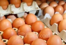 Jelang Natal, Harga Telur Ayam Naik Tujuh Belas Persen