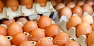 Jelang Natal, Harga Telur Ayam Naik Tujuh Belas Persen