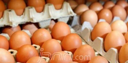 Jelang Natal, Harga Telur Ayam Naik Tujuh Belas Persen
