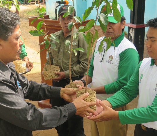 Tanam Pohon Untuk Hidup Lebih Baik