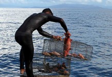 Nelayan Keluhkan Larangan Tangkap Ikan Gunakan Waren