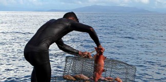 Nelayan Keluhkan Larangan Tangkap Ikan Gunakan Waren