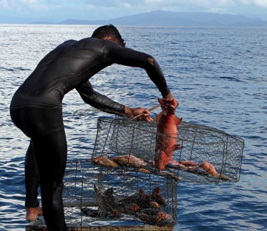Nelayan Keluhkan Larangan Tangkap Ikan Gunakan Waren