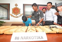 Narapidana Pasok 16 Kg Ganja
