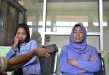 Kapok Cari Makan di Negeri Orang