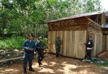 Tim Simpatik Data Sawmil Kecil dan TPK