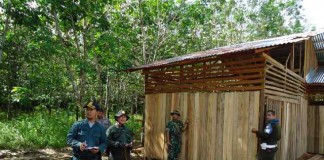 Tim Simpatik Data Sawmil Kecil dan TPK