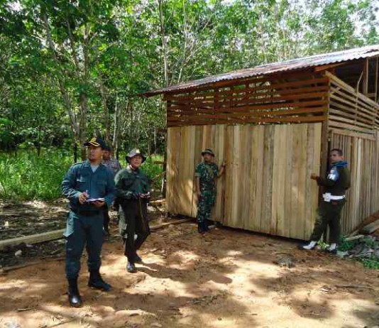 Tim Simpatik Data Sawmil Kecil dan TPK