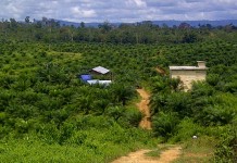 Jangan Hanya Pandai Keruk Keuntungan, Nasib Masyarakat Diacuhkan