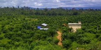 Jangan Hanya Pandai Keruk Keuntungan, Nasib Masyarakat Diacuhkan