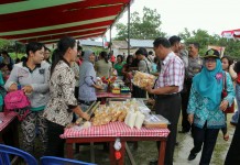 Peternak Sapi Ngeluh Susah Cari Rumput
