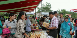Peternak Sapi Ngeluh Susah Cari Rumput