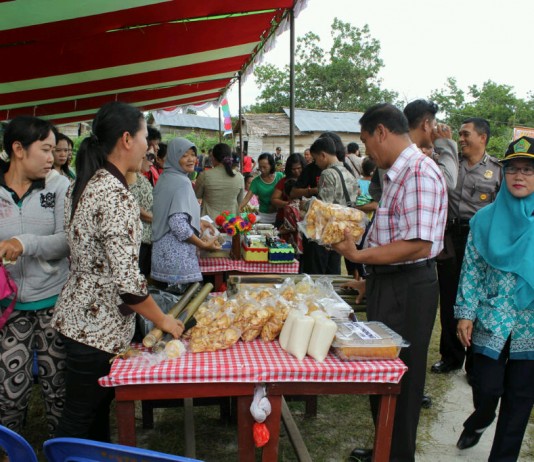 Peternak Sapi Ngeluh Susah Cari Rumput