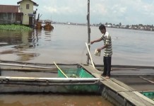 Mahal, 60 Persen Pakan Ikan Impor