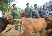 Populasinya Hampir 1300 Ekor